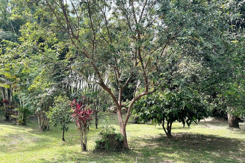 Casa Campestre Con Piscina Y Jacuzzi Cerca A Ginebra Valle Del Cauca Guacari Extérieur photo