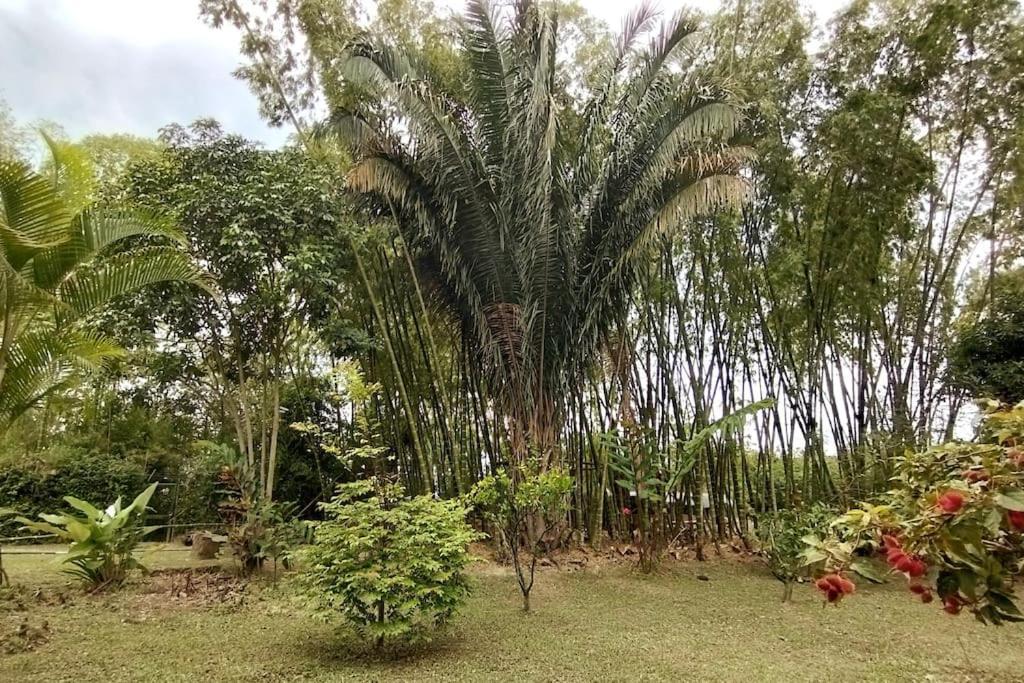 Casa Campestre Con Piscina Y Jacuzzi Cerca A Ginebra Valle Del Cauca Guacari Extérieur photo